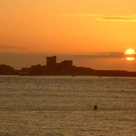 ベッド・アンド・ブレックファスト Toki Alai